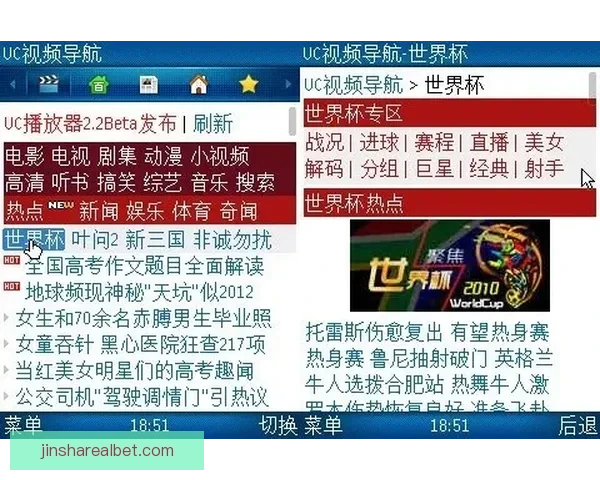 世界杯跟单技巧全解析助力精准投注与盈利策略